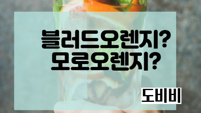  (블러드오렌지)모로오렌지 다이어트 효능 및 섭취방법