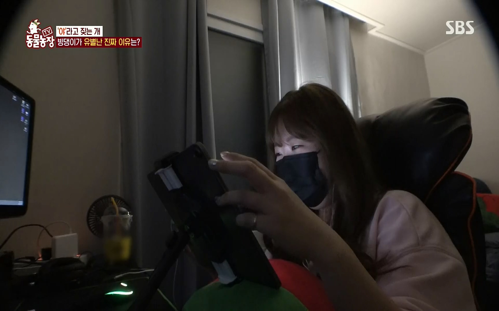 TV 동물농장.E1072.220605p.H264-F1RST.mp4_20220605_181429.073.jpg
