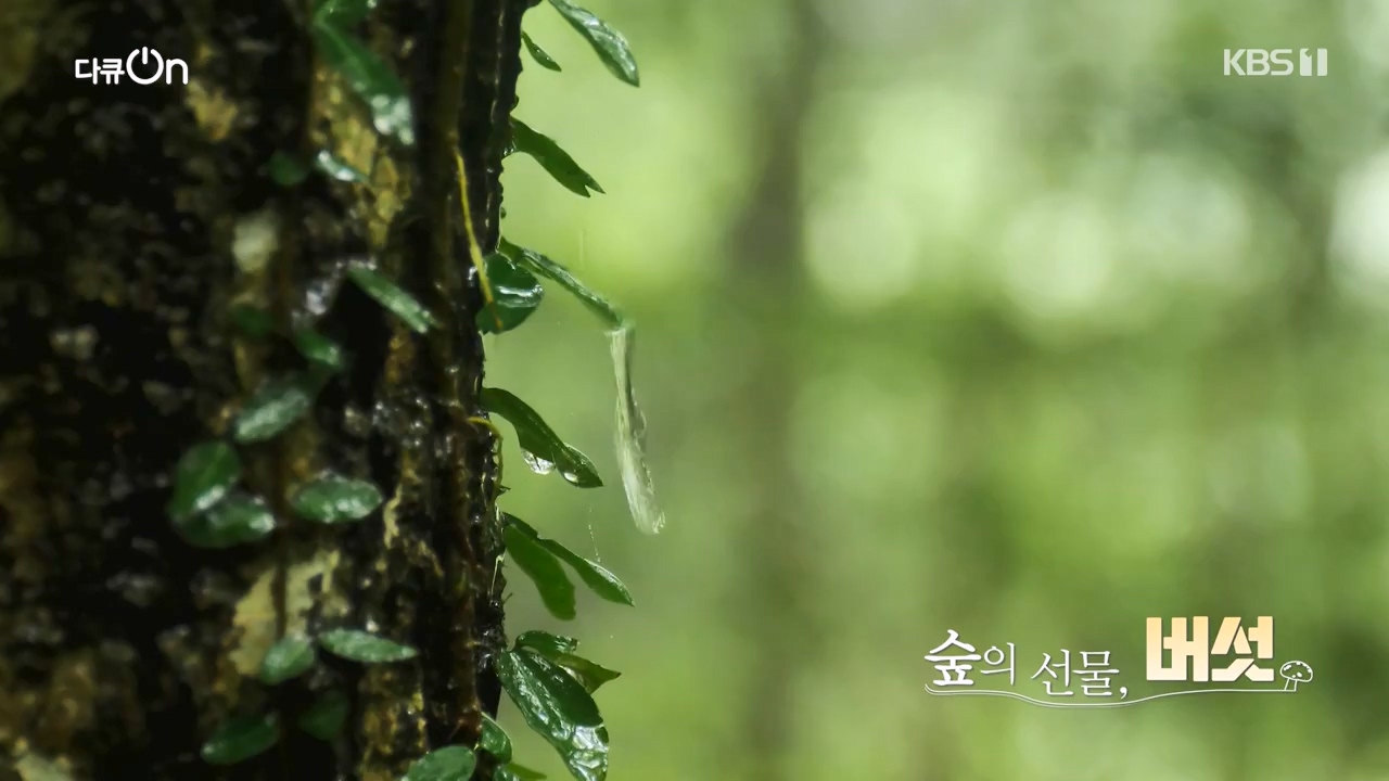 다큐 온.E227.231120p-NEXT.mp4_20231121_203656.707.jpg