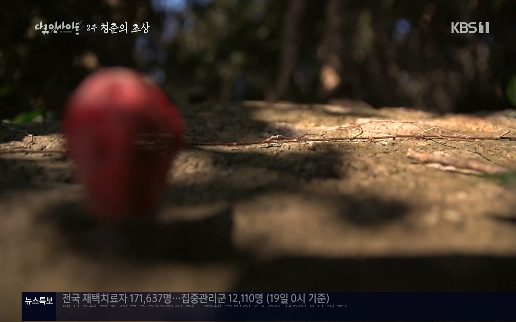 다큐 인사이트.E113.220519p.H264-F1RST.mp4_20220523_205656.996.jpg