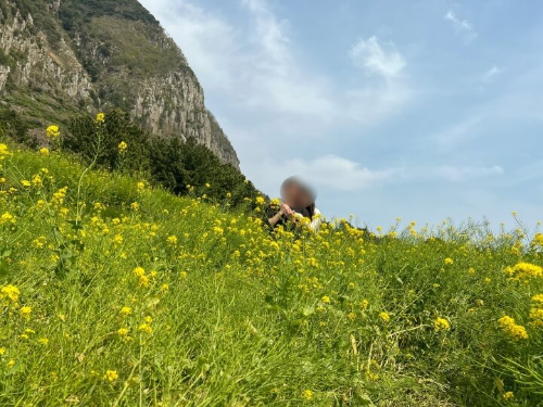 제주-산방산-유채꽃밭-커플사진