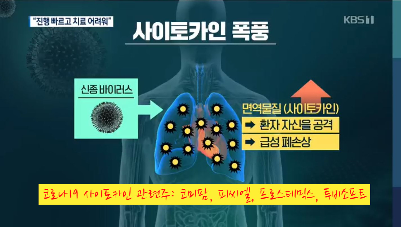  사이토카인 폭풍. 대구 소년의 사망