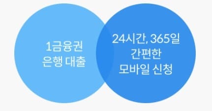 핀크 비상금대출