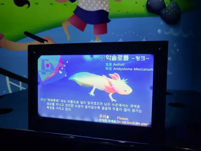 단양-다누리-아쿠아리움-내부관람