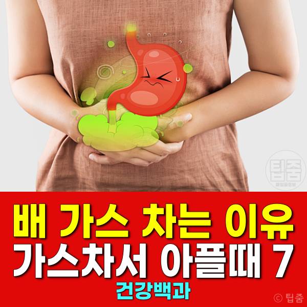 배에 가스가 차는 이유 배에 가스차서 아플때