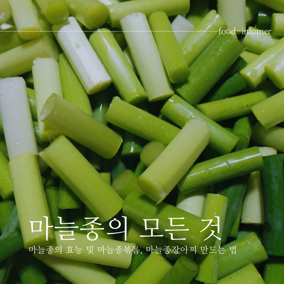 마늘쫑