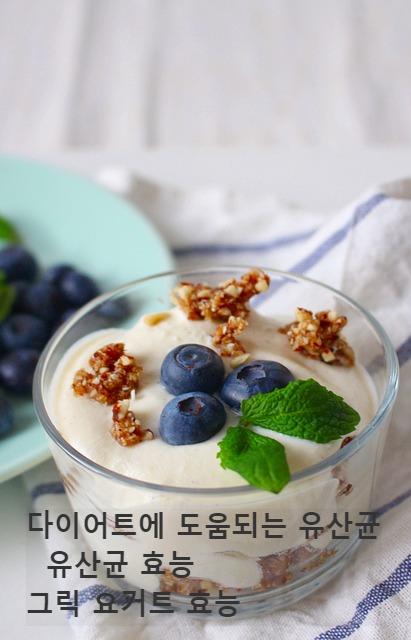 다이어트-유산균-그릭요거트