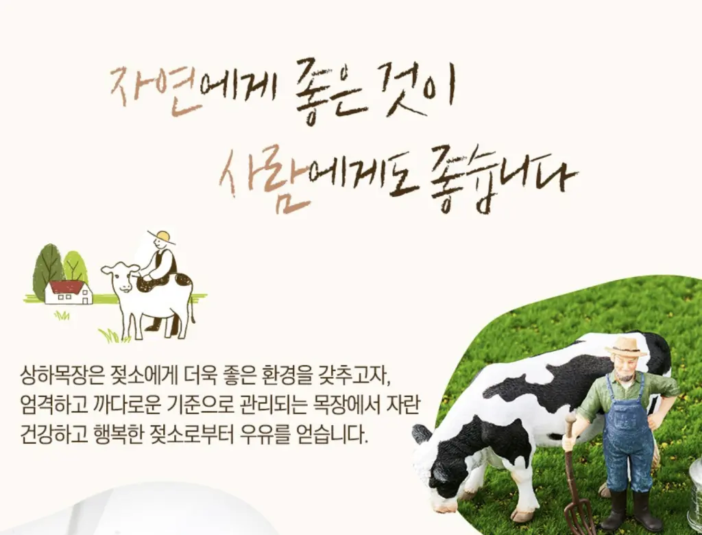  무항생제 우유를 먹어야 되는 이유