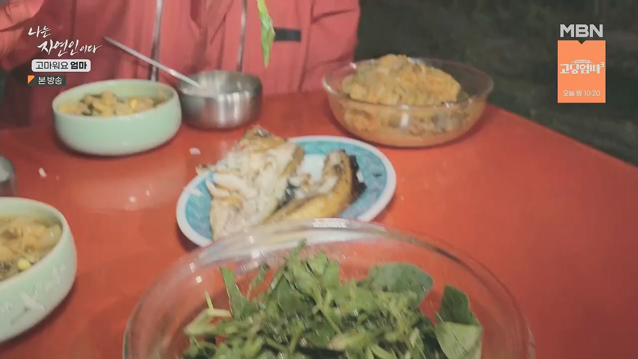 나는 자연인이다.E554.230518p.H264-F1RST.mp4_20230518_194519.863.jpg