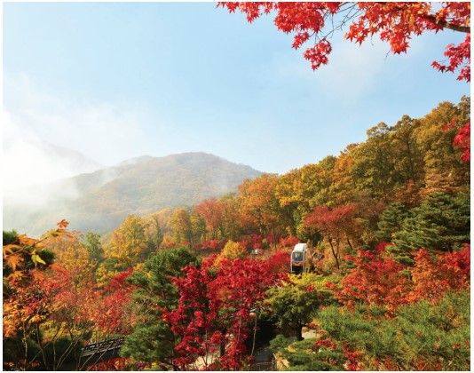 korea-nature-tourism