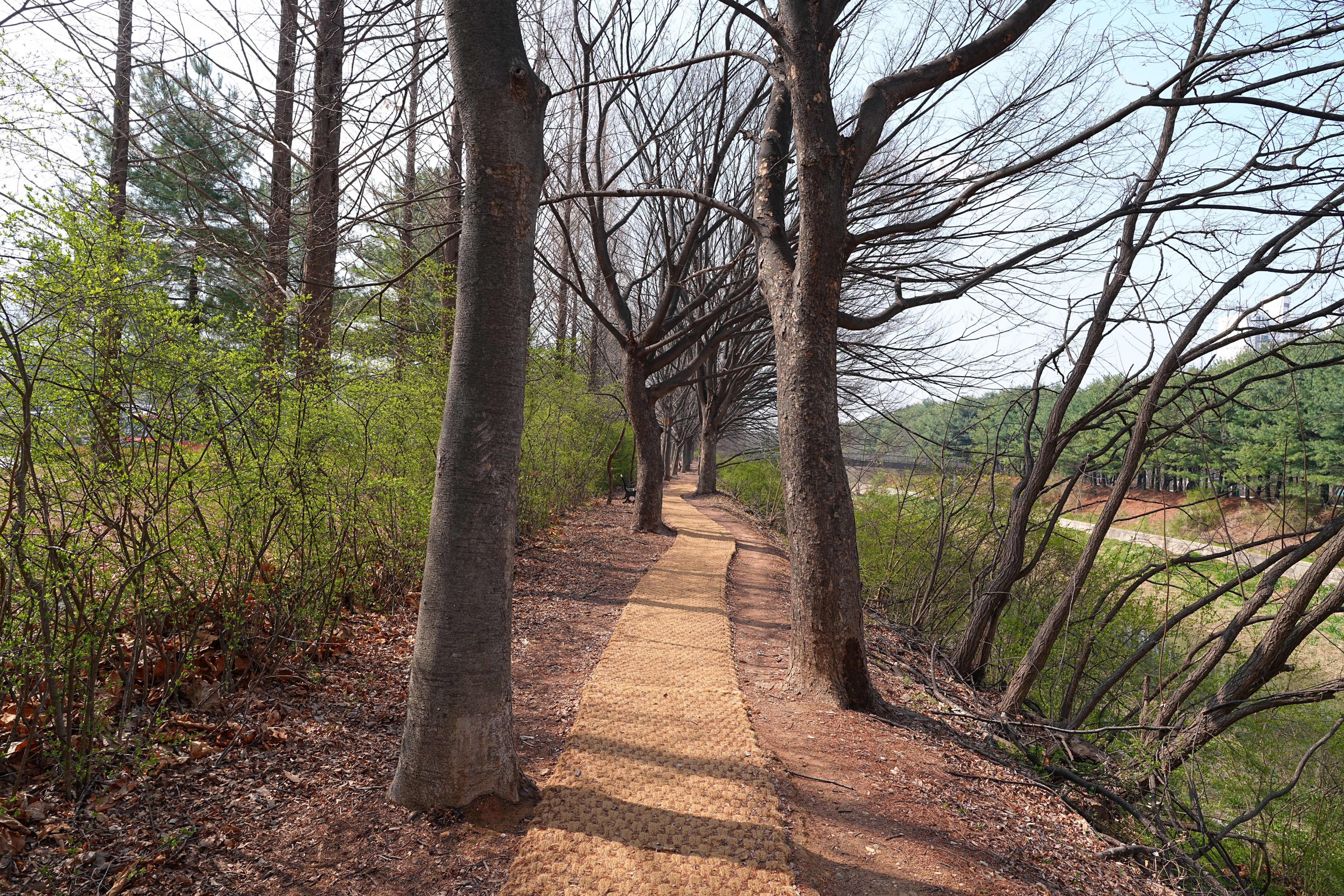 DMZ 평화의 길 4-1코스(지선코스) 이미지