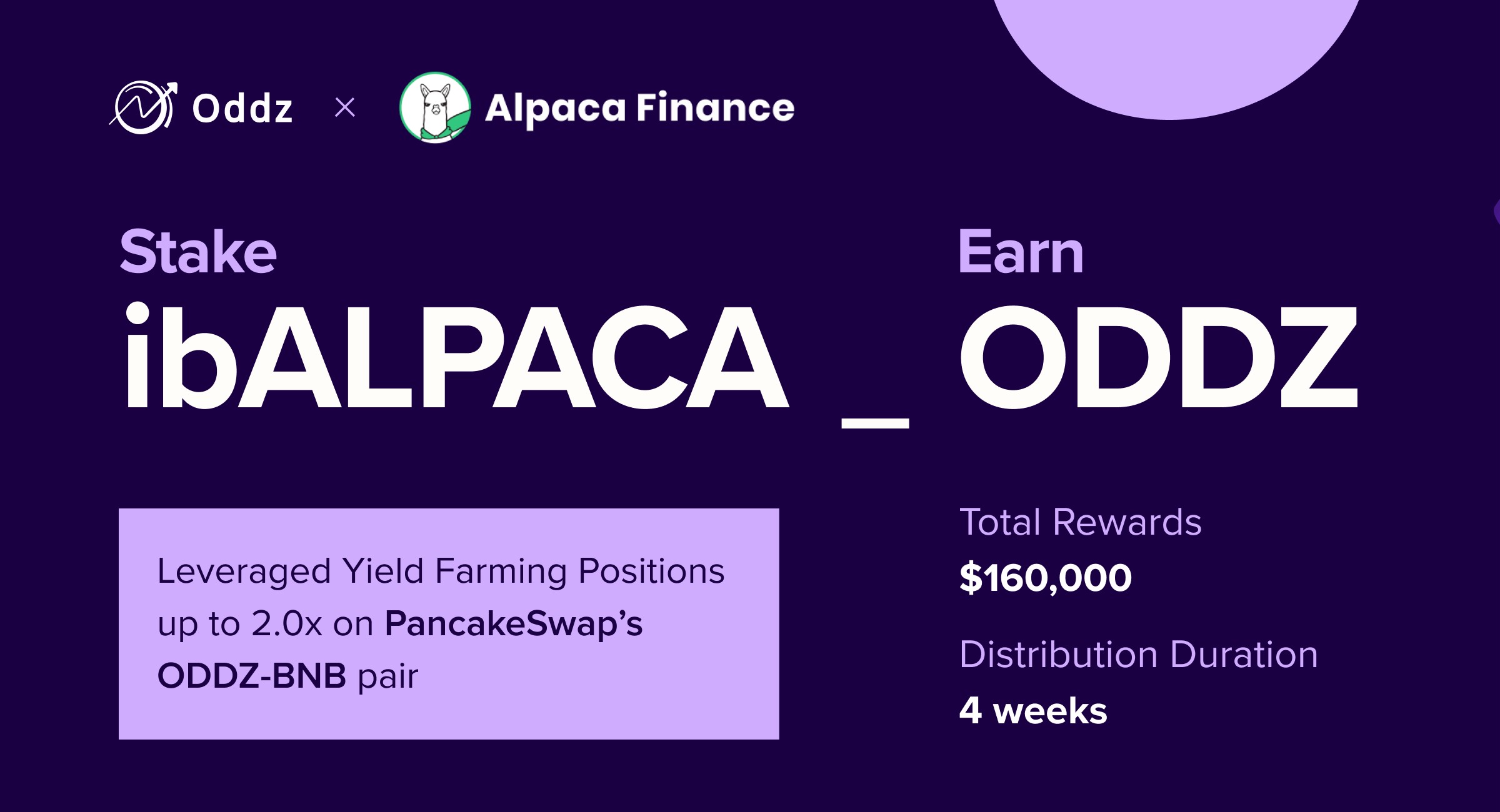  [Oddz] Oddz, Alpaca의 Grazing Range 풀에 합류합니다