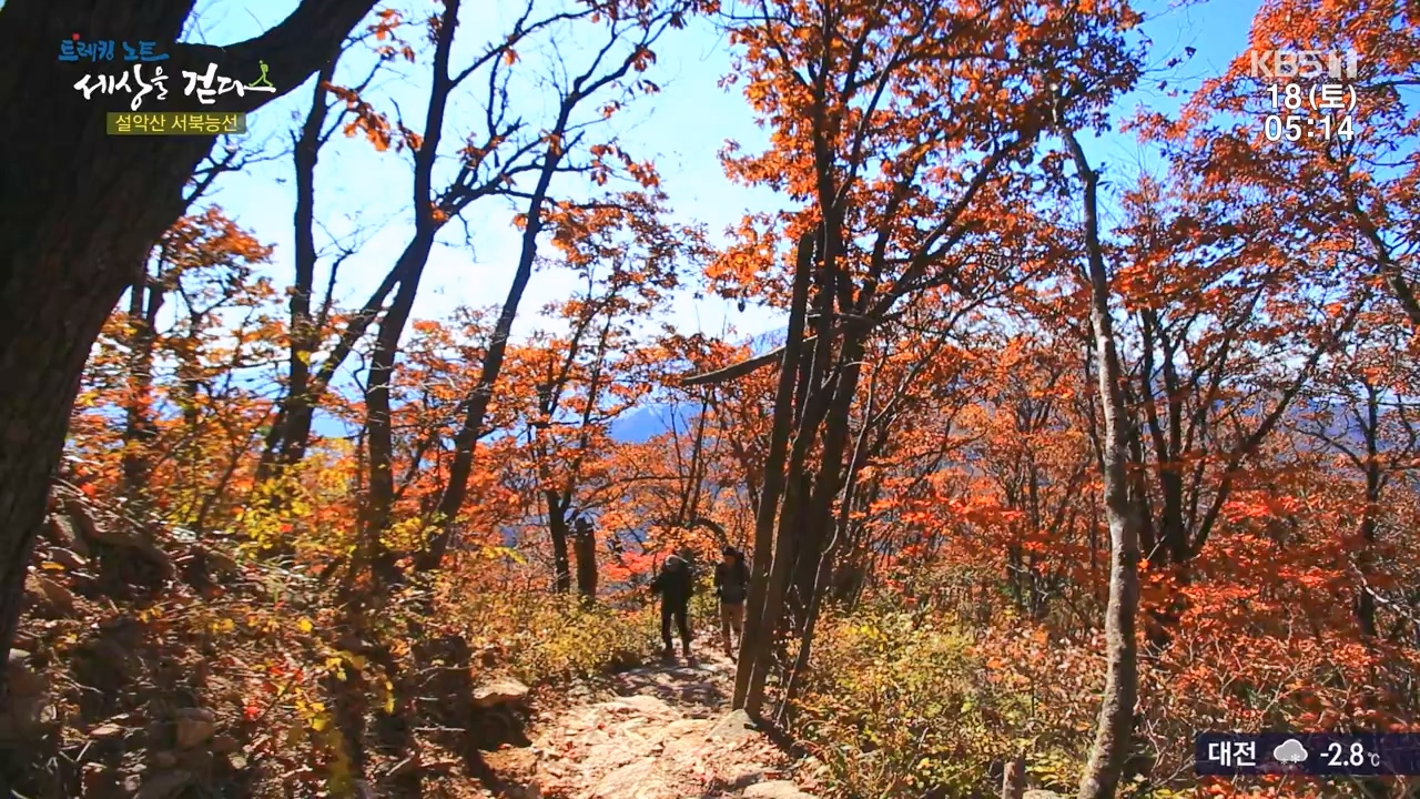 트레킹노트 세상을 걷다.E297.231119p-NEXT.mp4_20231123_212048.799.jpg