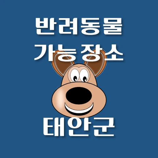 썸네일-태안군-반려동물-출입가능-장소