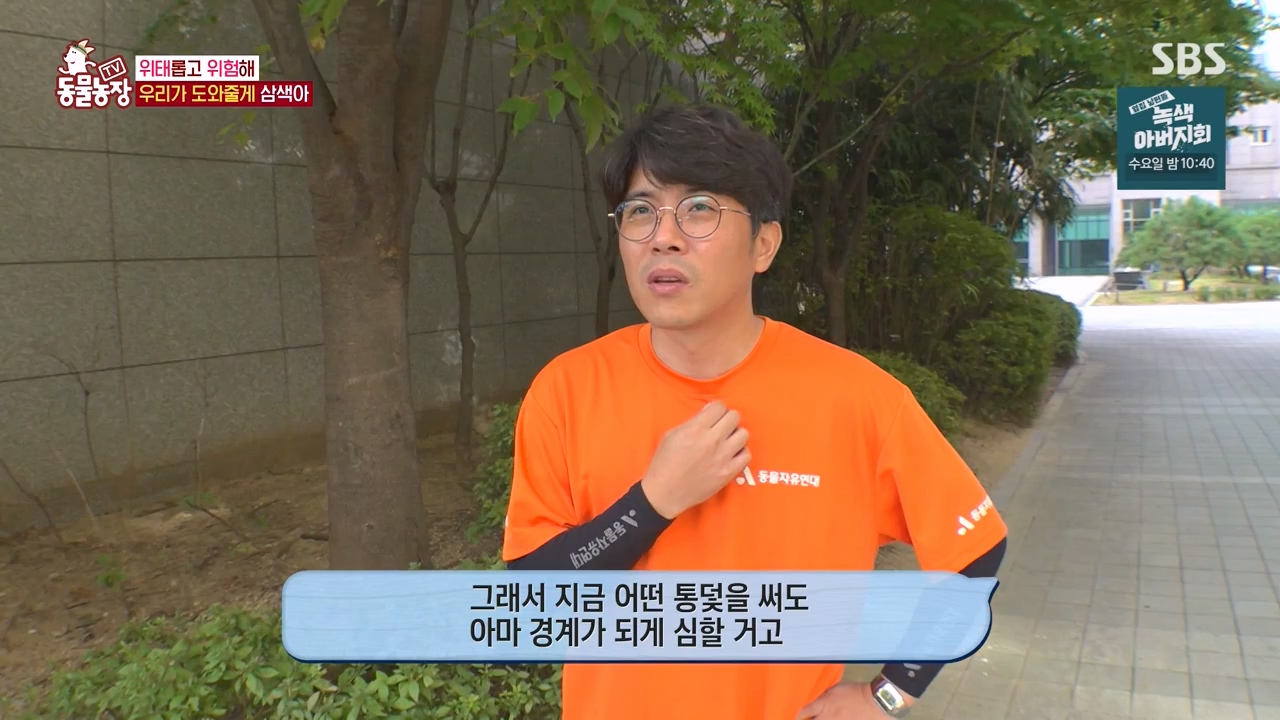 TV 동물농장.E1143.231030p-NEXT.mp4_20231029_164143.004.jpg