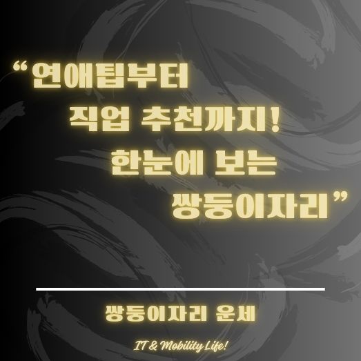 쌍둥이자리 운세