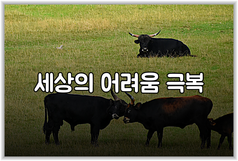 세상의 어려움 극복