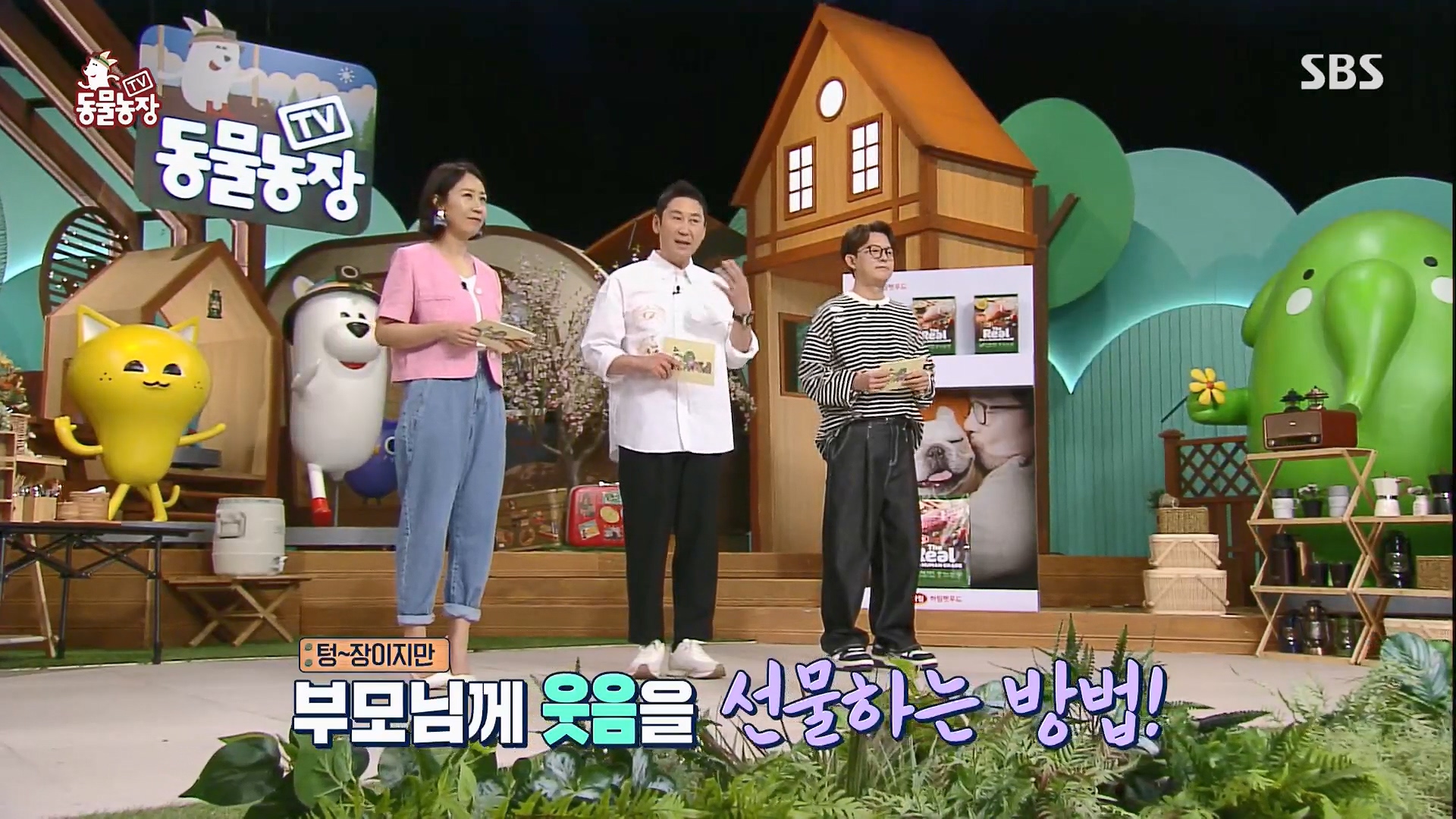 TV 동물농장.E1119.230507p.H264-F1RST.mp4_20230507_135852.955.jpg