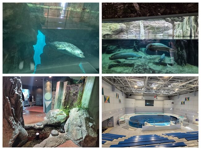 가고시마 여행 🌋 가고시마 수족관(いおワールドかごしま水族館)