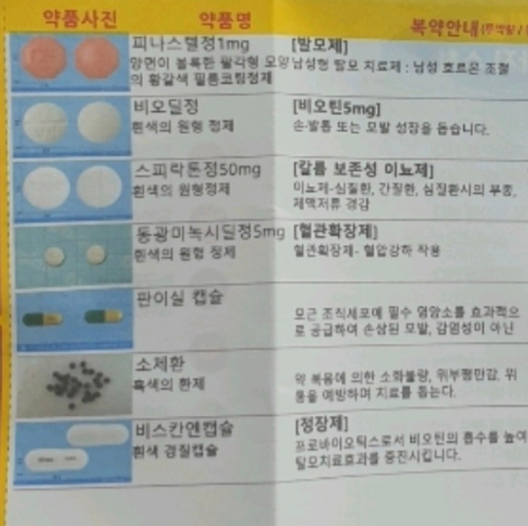탈모조합약