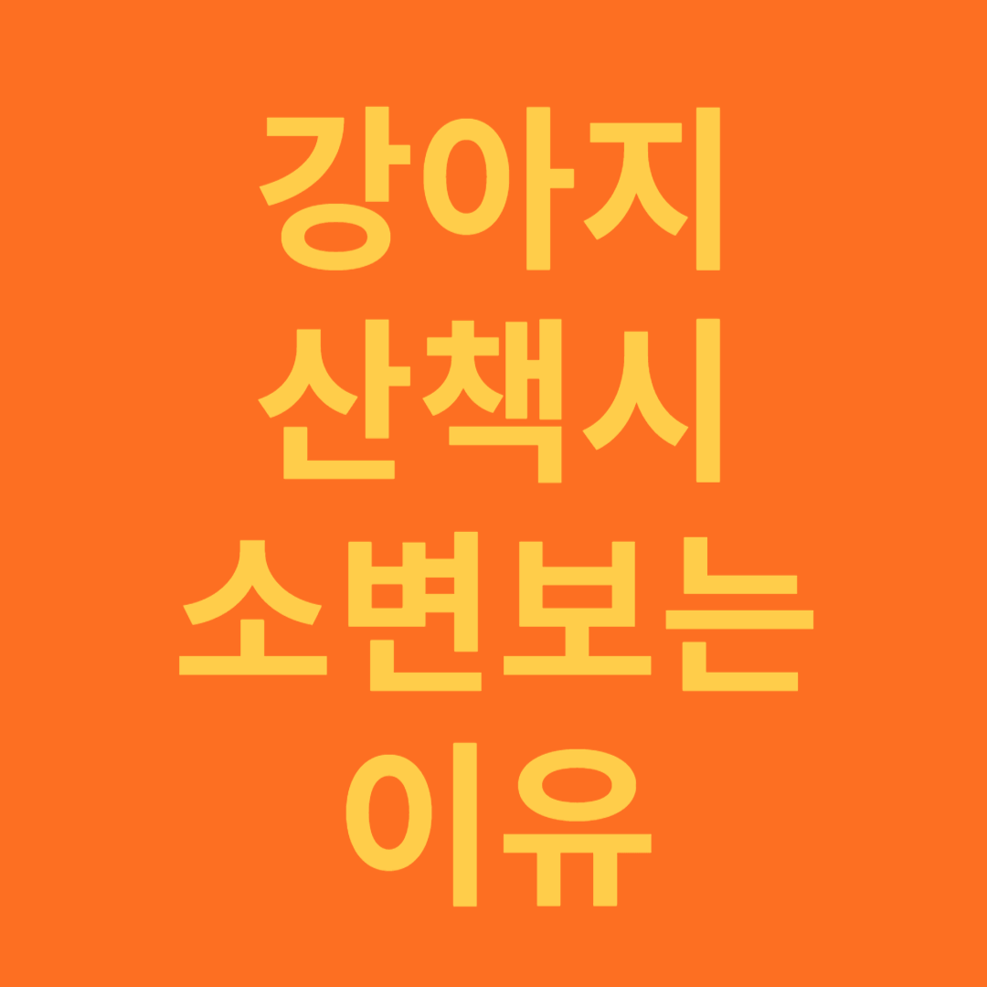 강아지 산책시 소변보는 이유와 대처 방법