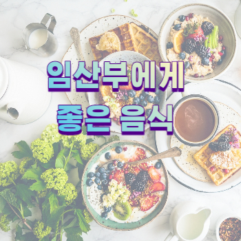  임산부에게 좋은 음식, 챙겨 먹어야할 음식 (임신 초 중 후기 추천 식단, 개월별 음식)