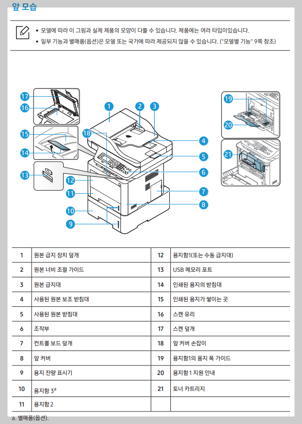 앞모습