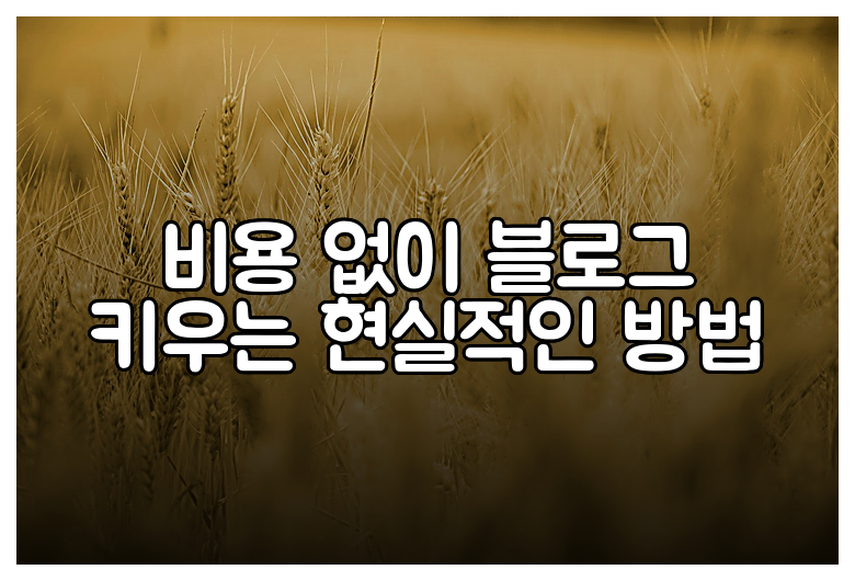 비용 없이 블로그 키우는 현실적인 방법