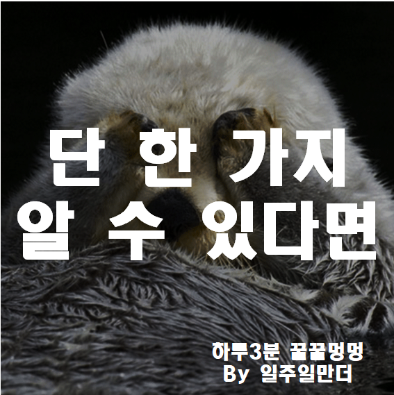 단 한 가지 알 수 있다면