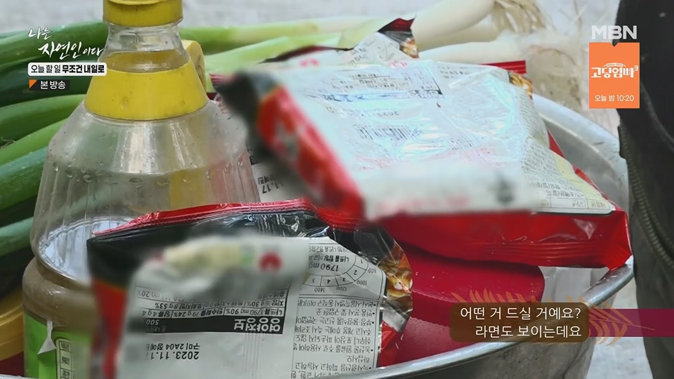 나는 자연인이다.E562.230712p.H264-F1RST.mp4_20230713_204720.143.jpg