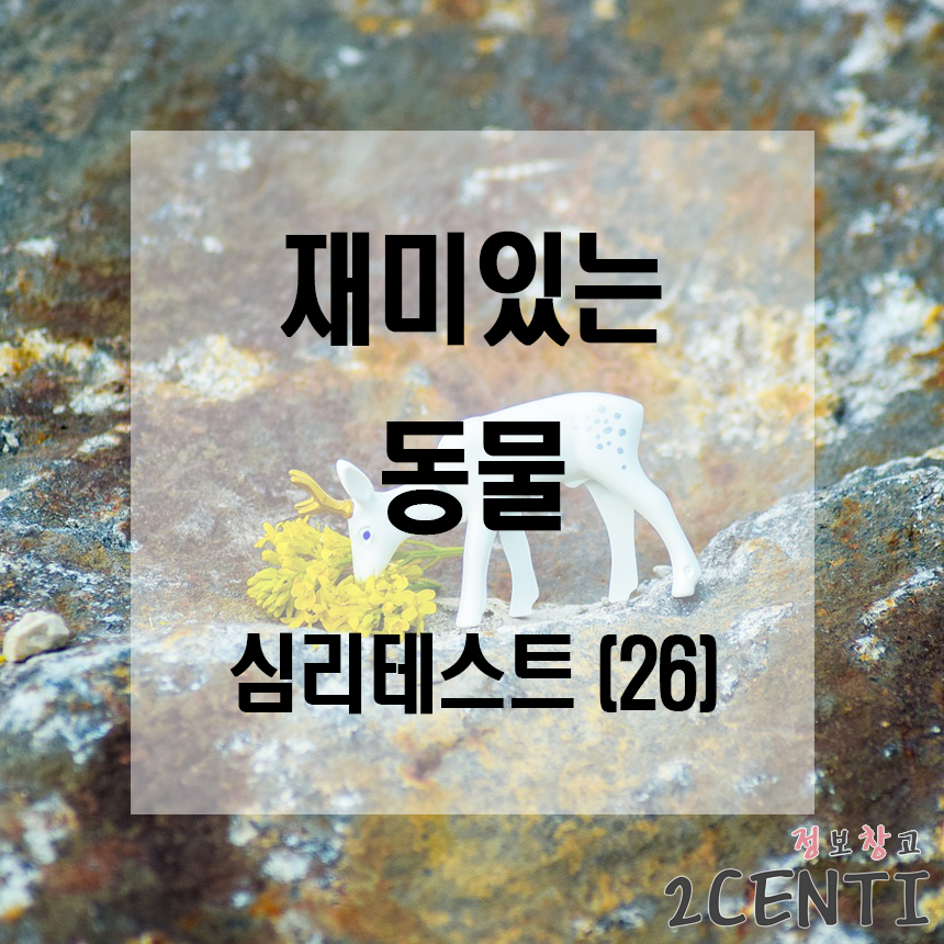 자기애 관련 재미있는 동물 심리테스트 (26) 자기애 관련 재미있는 동물 심리테스트 (26)