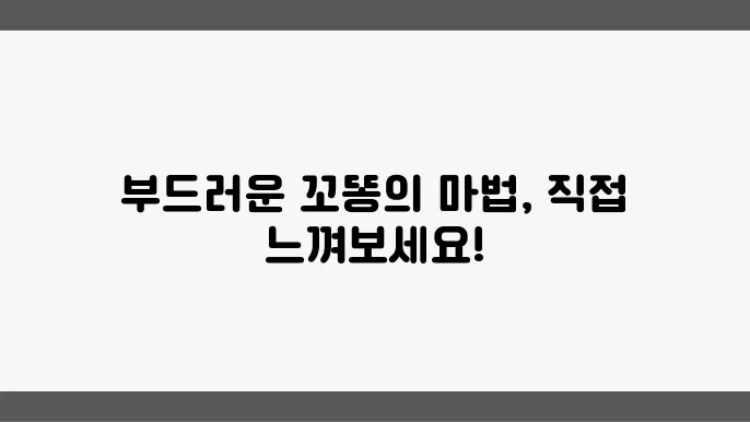 셔틀랜드쉽독분양 부드럽쫎0 순수한 꼬똥의 매력