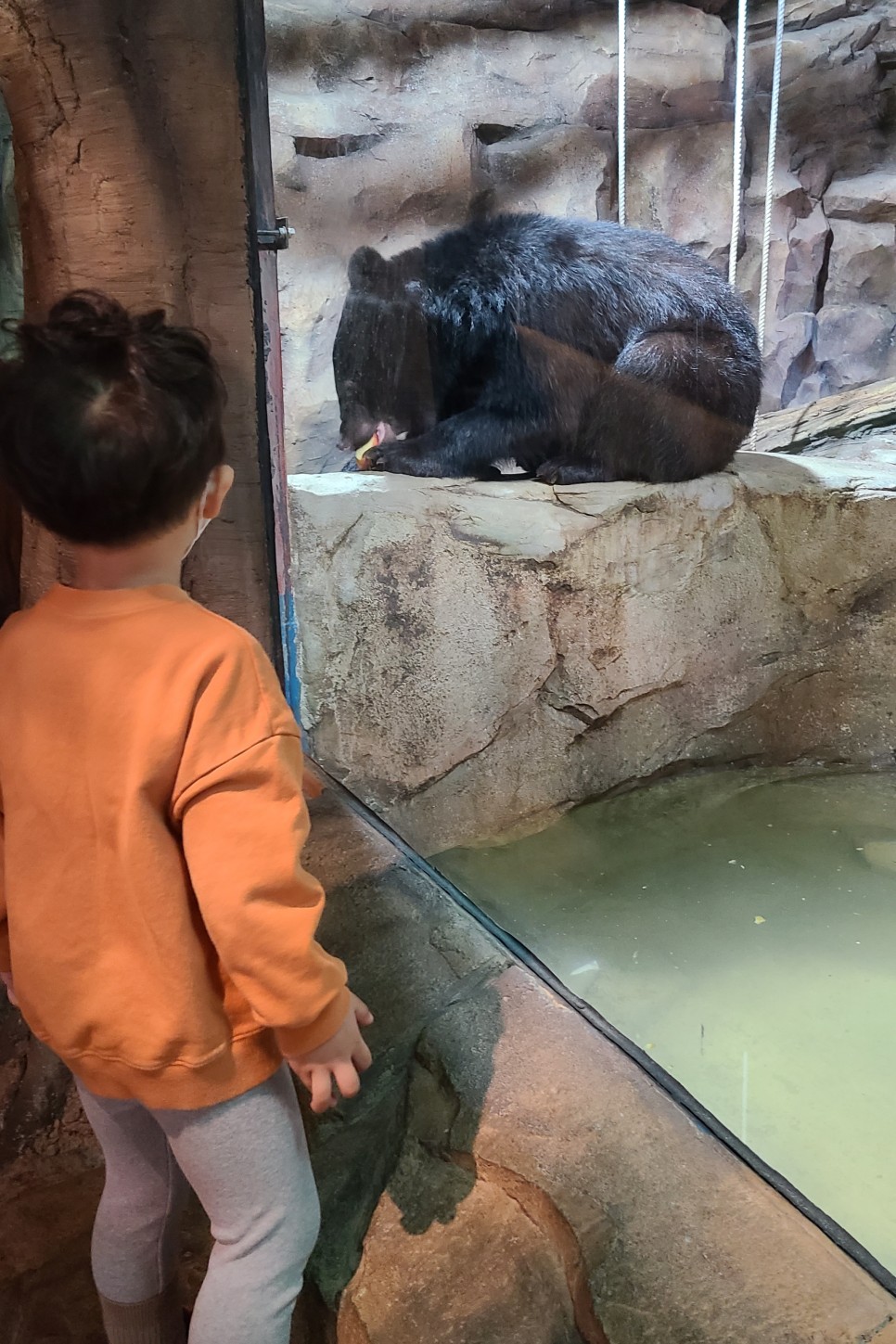 부천 아쿠아리움 부천 아쿠아리움먹이주기 체험 32