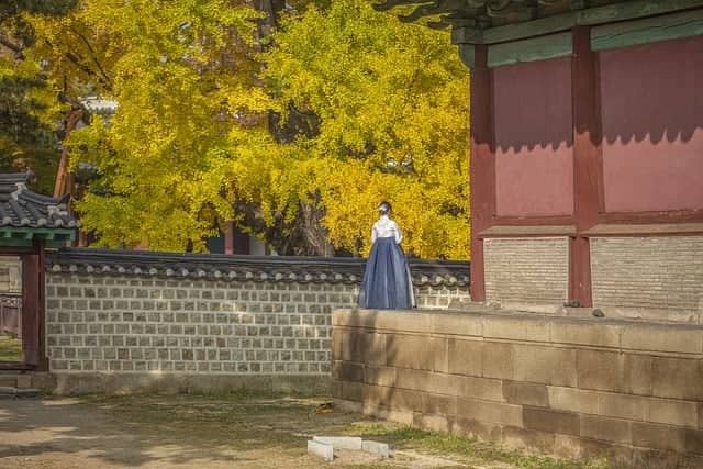 송덕봉