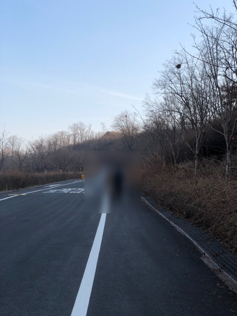 하늘공원 폐쇄 주말 하늘공원 나들이 3