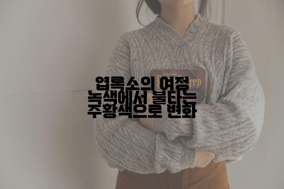 엽록소의 여정 녹색에서 불타는 주황색으로 변화