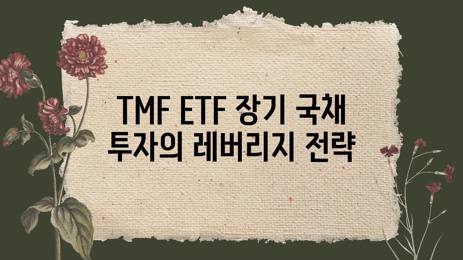 TMF ETF 장기 국채 투자의 레버리지 전략