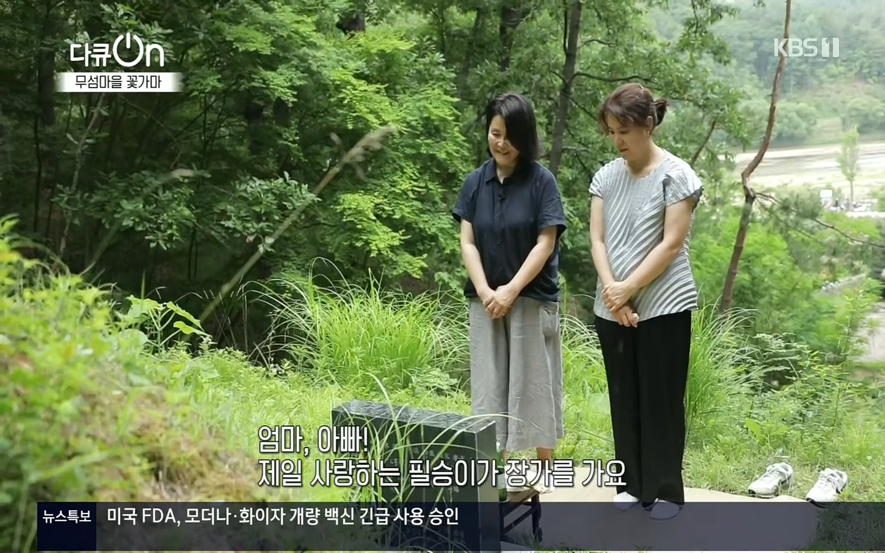 다큐 On.E156.220909p.H264-F1RST.mp4_20220910_192927.577.jpg