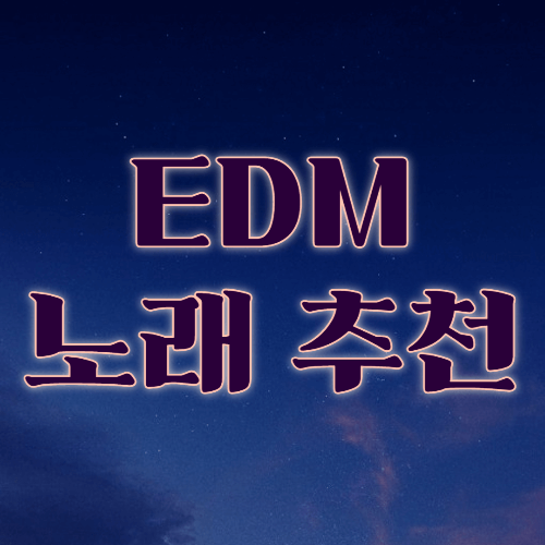  [EDM] 방구석 파티 개장 - 춤추고 싶은 EDM 노래 추천
