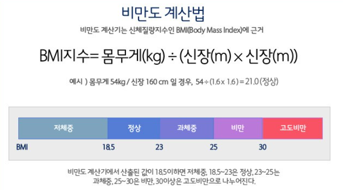 BMI체질량지수