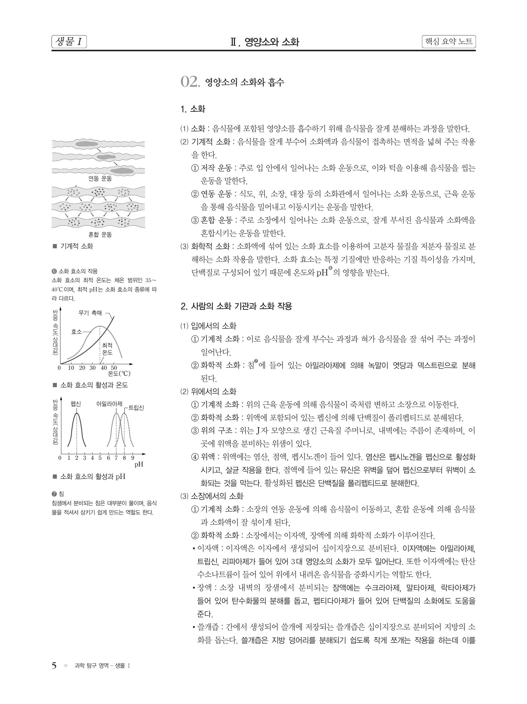  생명과학1 개념정리-소화(기계적소화-저작운동,연동운동,혼합운동동/화학적 소화),영양소의흡수와이동,알코올의흡수와분해,알코올이인체에미치는영향