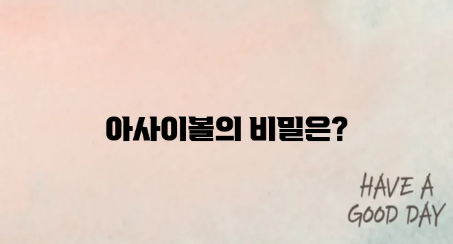 요아정 아사이볼 다이어트