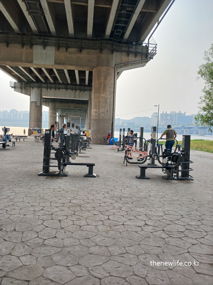 Outdoor fitness equipment under a large bridge, with people using the machines for strength training.-대형 교각 아래 야외 헬스기구에서 근력 운동을 하는 시민들 모습.