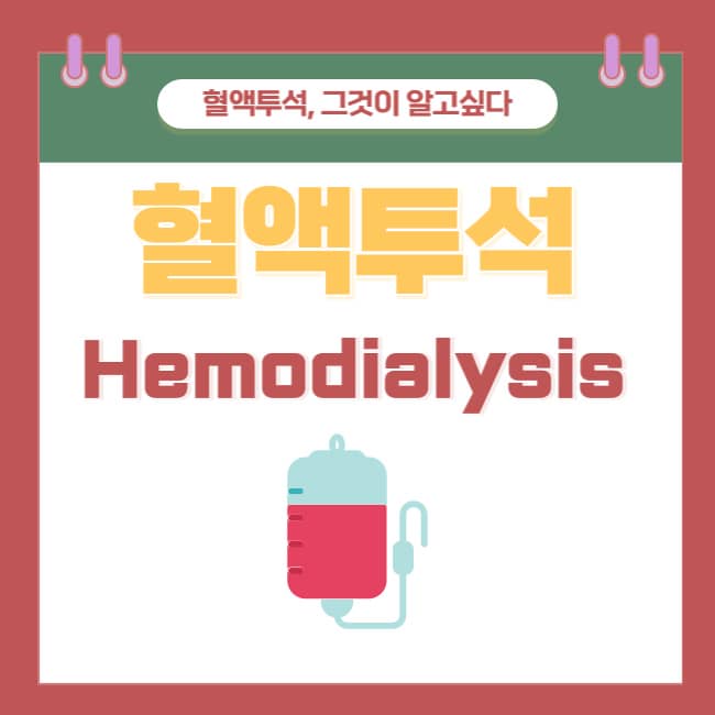  [투석 #1] 혈액투석, 그것이 알고싶다