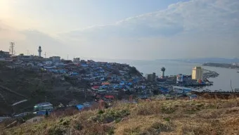 강원도 묵호 여행 묵호항 수산시장 등대 명소_17