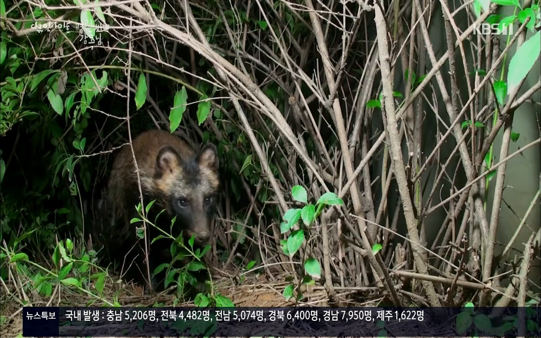 다큐 인사이트.E122.220825p.H264-F1RST.mp4_20220826_152307.119.jpg
