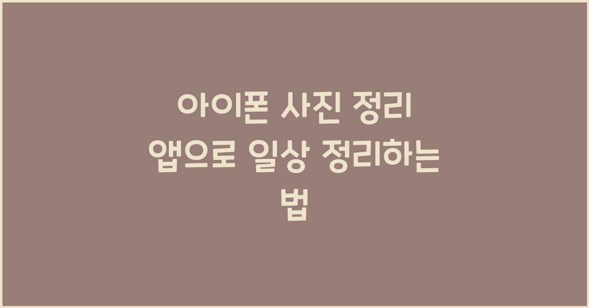 아이폰 사진 정리 앱