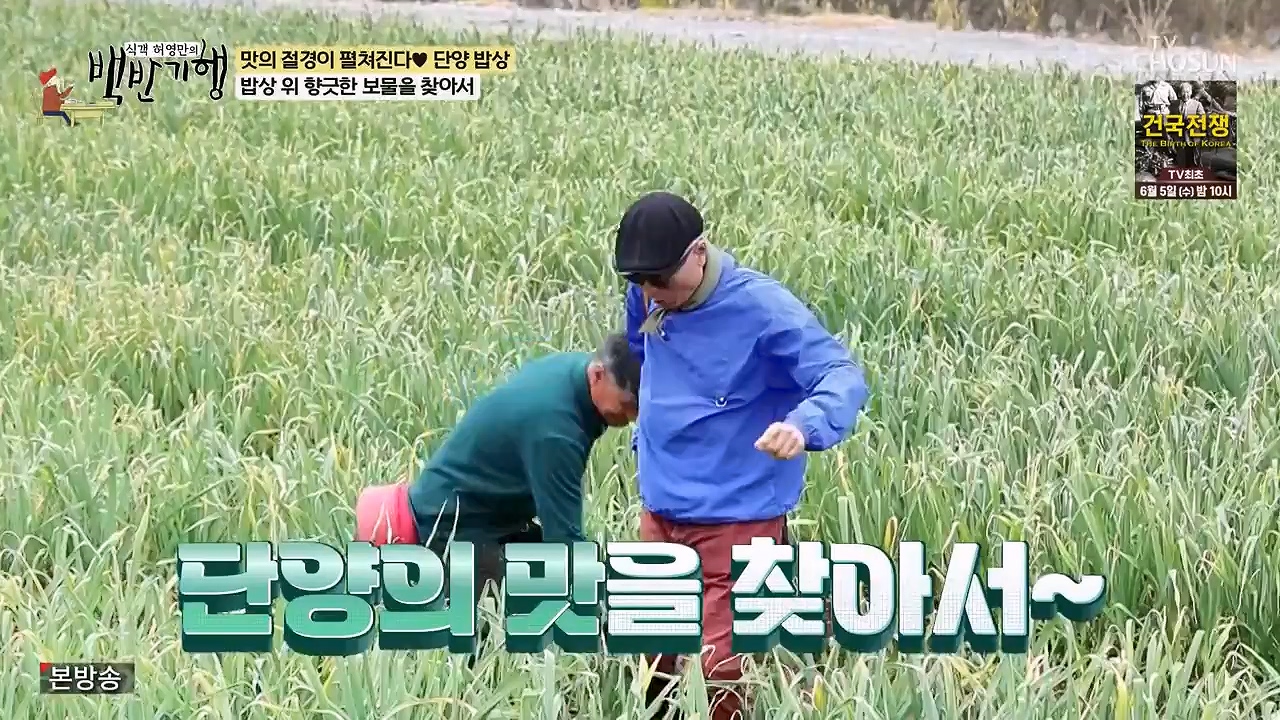 식객 허영만의 백반기행.E250.240603p-NEXT.mp4_20240603_195510.859.jpg