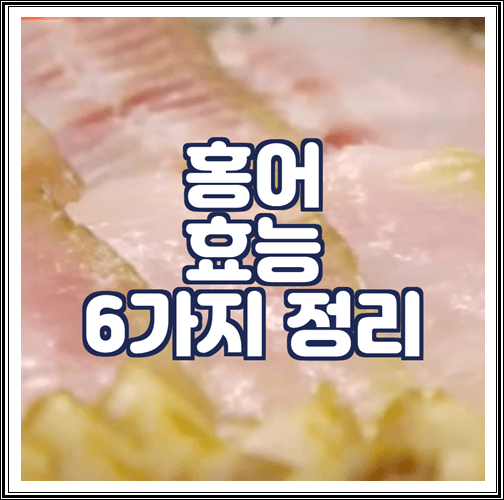  홍어 효능 6가지 정리
