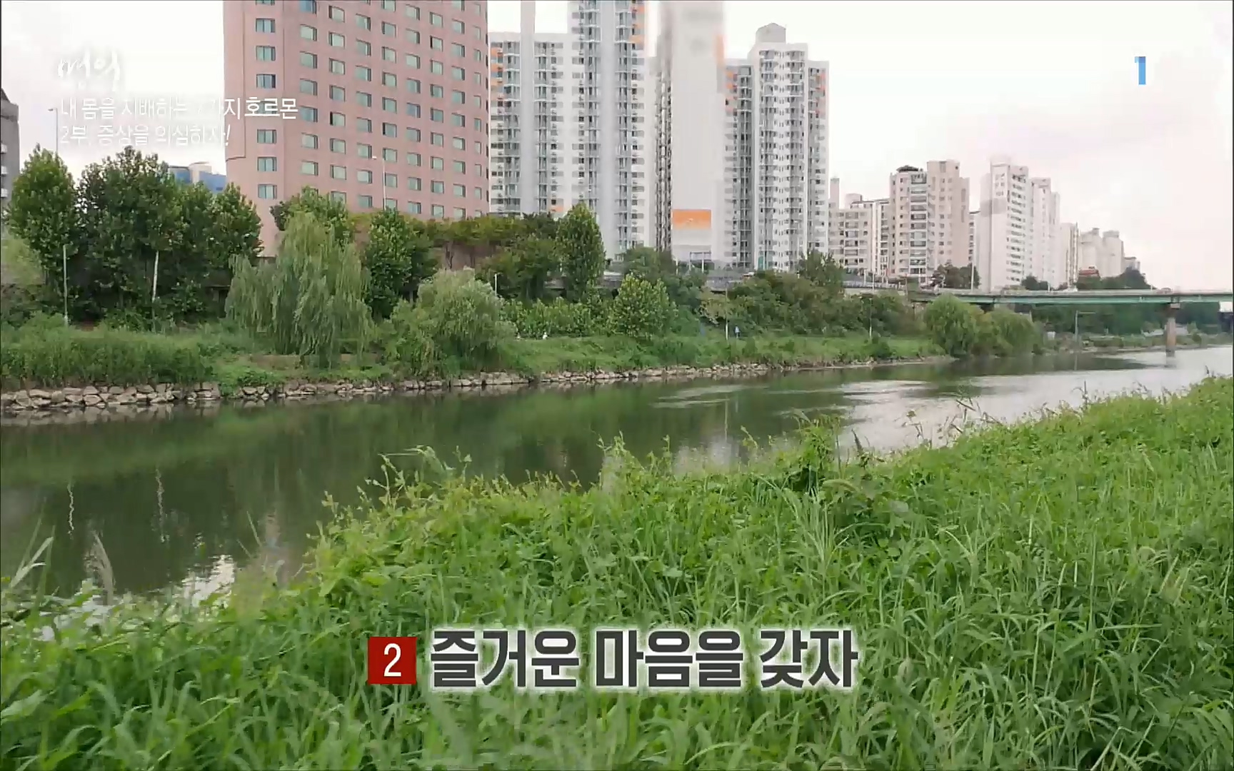 EBS 명의 헬스케어 - TV - 교육의 중심 EBS내 몸을 지배하는 7가지 호르몬 2부, 증상을 의심하자!.mp4_20220711_200043.976.jpg